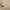 files/Cut_It_Now_Houten_Wanddecoratie_-_Jungle_Leeuw_999ee358-ff9f-4611-b05a-c6fa51754ca6.webp