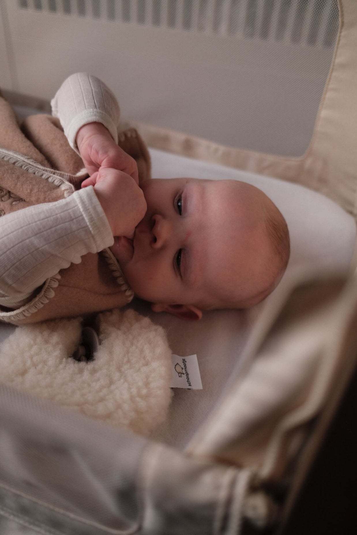 Geborduurde Merino wollen slaapzak newborn