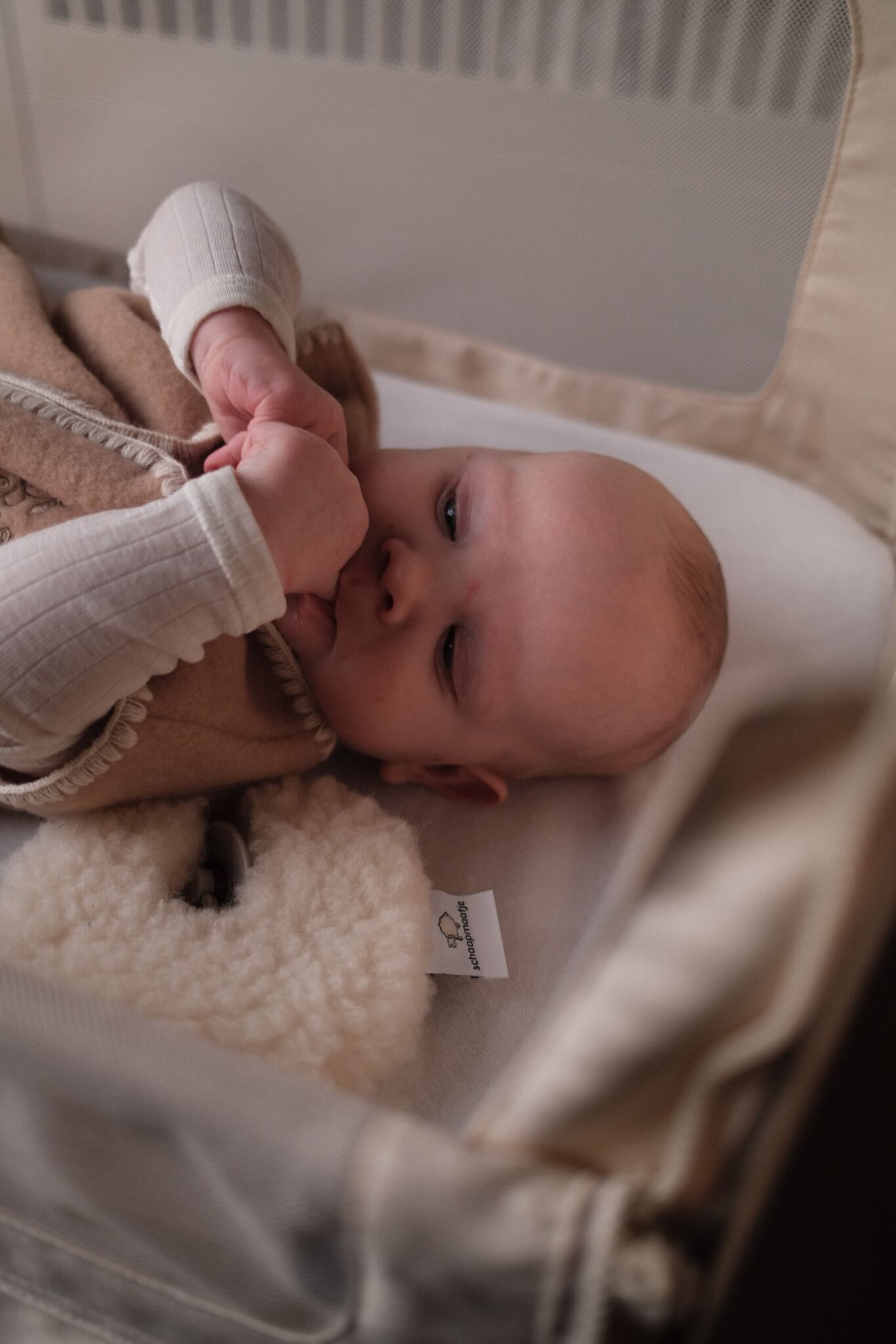 Geborduurde Merino wollen slaapzak newborn