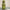 Stainless Steel Bottle 350 ml - Mr Dino