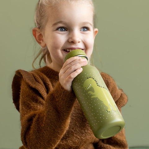 Trixie Drinkfles Mr. Dino - 500 ml