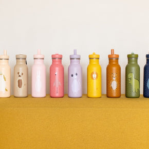 Stainless Steel Bottle 500 ml - Mr Dog