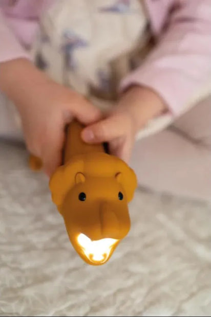 Kinderen houden een schattige Zaklamp - Lion Leo vast met licht aan in een gezellige kamer
