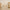 MeowBaby Indoor Baby Schommel Beer - Ecru zachte katoenen baby schommel in neutrale tinten