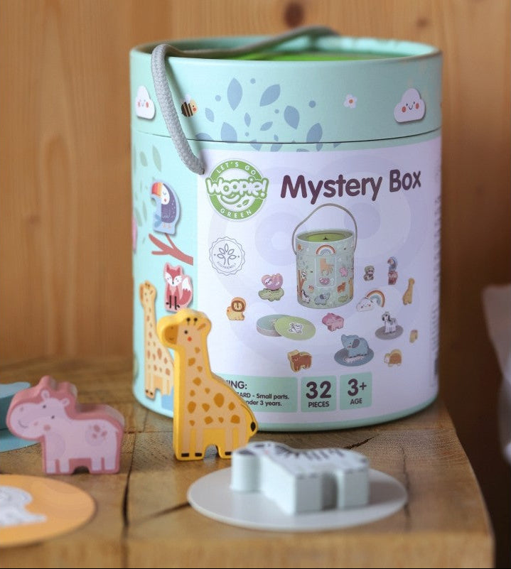 Mystery Box Touch and Match