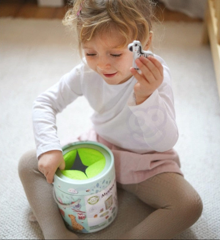 Mystery Box Touch and Match