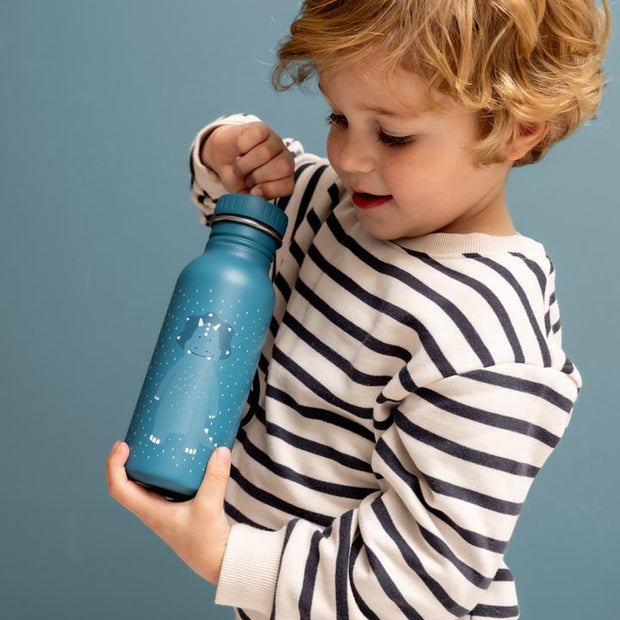Trixie Drinkfles Mr. Triceratops - 350 ml